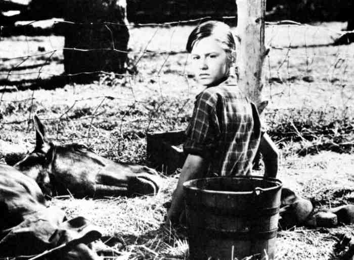 A Tribute to Roddy McDowall - My Friend Flicka (flicka03.jpg)