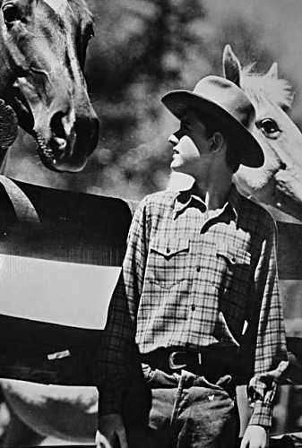 A Tribute to Roddy McDowall - My Friend Flicka (flicka17.jpg)