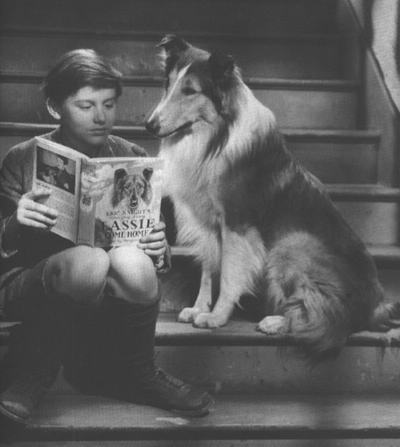 A Tribute to Roddy McDowall - Lassie Come Home (lassie01.jpg)