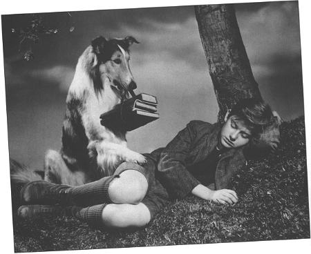 A Tribute to Roddy McDowall - Lassie Come Home (lassie03.jpg)