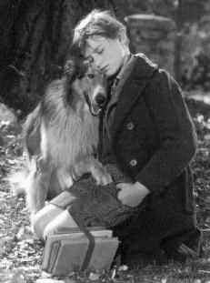 A Tribute to Roddy McDowall - Lassie Come Home (lassie21.jpg)