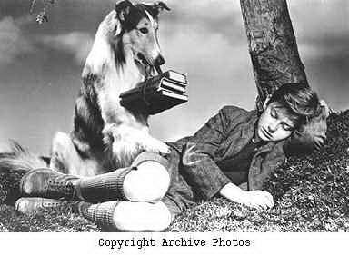 A Tribute to Roddy McDowall - Lassie Come Home (lassie22.jpg)