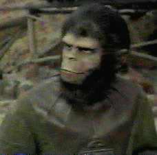 A Tribute to Roddy McDowall - Planet of the Apes (apes05.jpg)
