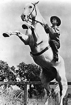 A Tribute to Roddy McDowall - Thunderhead: Son of Flicka (thunder03.jpg)