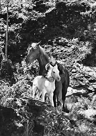 A Tribute to Roddy McDowall - Thunderhead: Son of Flicka (thunder07.jpg)