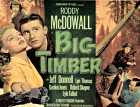 Roddy McDowall in Big Timber