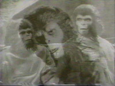 A Tribute to Roddy McDowall - In Between (ape_01.jpg)