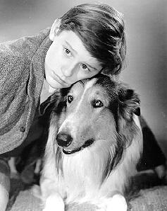 A Tribute to Roddy McDowall - Lassie Come Home (lassie05.jpg)
