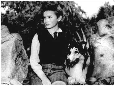 A Tribute to Roddy McDowall - Lassie Come Home (lassie11.jpg)
