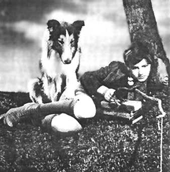 A Tribute to Roddy McDowall - Lassie Come Home (lassie16.jpg)