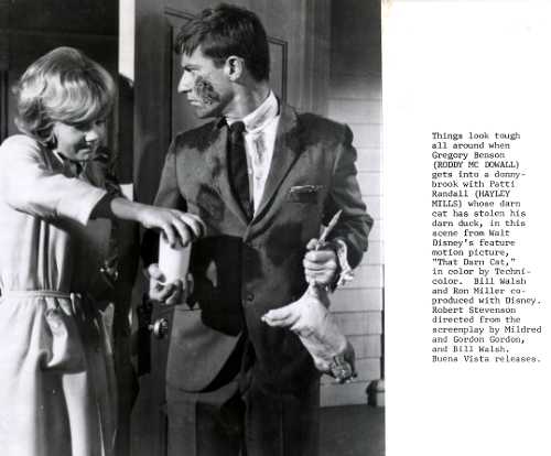 A Tribute to Roddy McDowall - That Darn Cat (thatdc02a.jpg)